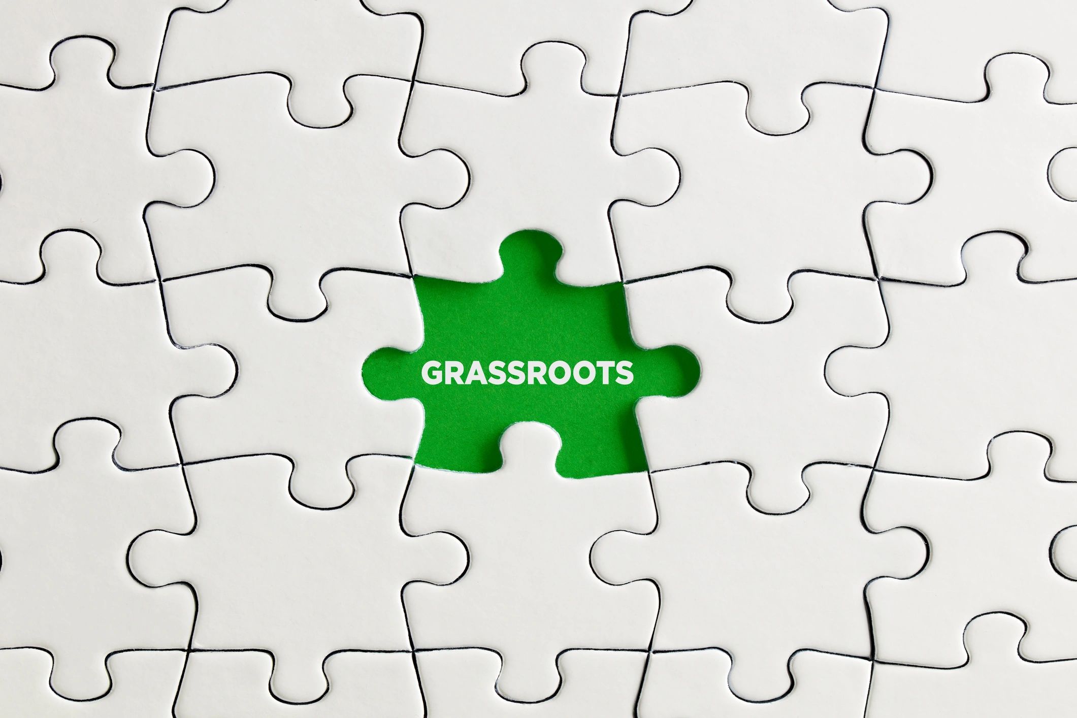 grassroots movement demonstration